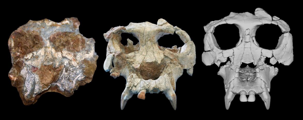 Foto: Meike Köhler/ICP.