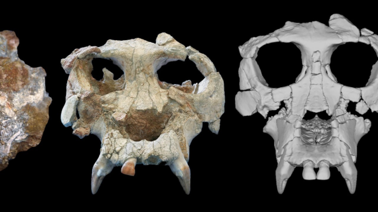 Foto: Meike Köhler/ICP.