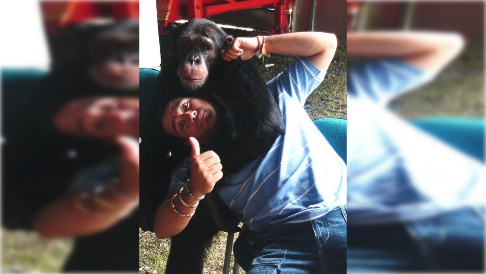 Raúl Gasca aseguró que quería a este animal como a un hijo. | Foto: Captura de pantalla perfil en Instagram @raulgasca