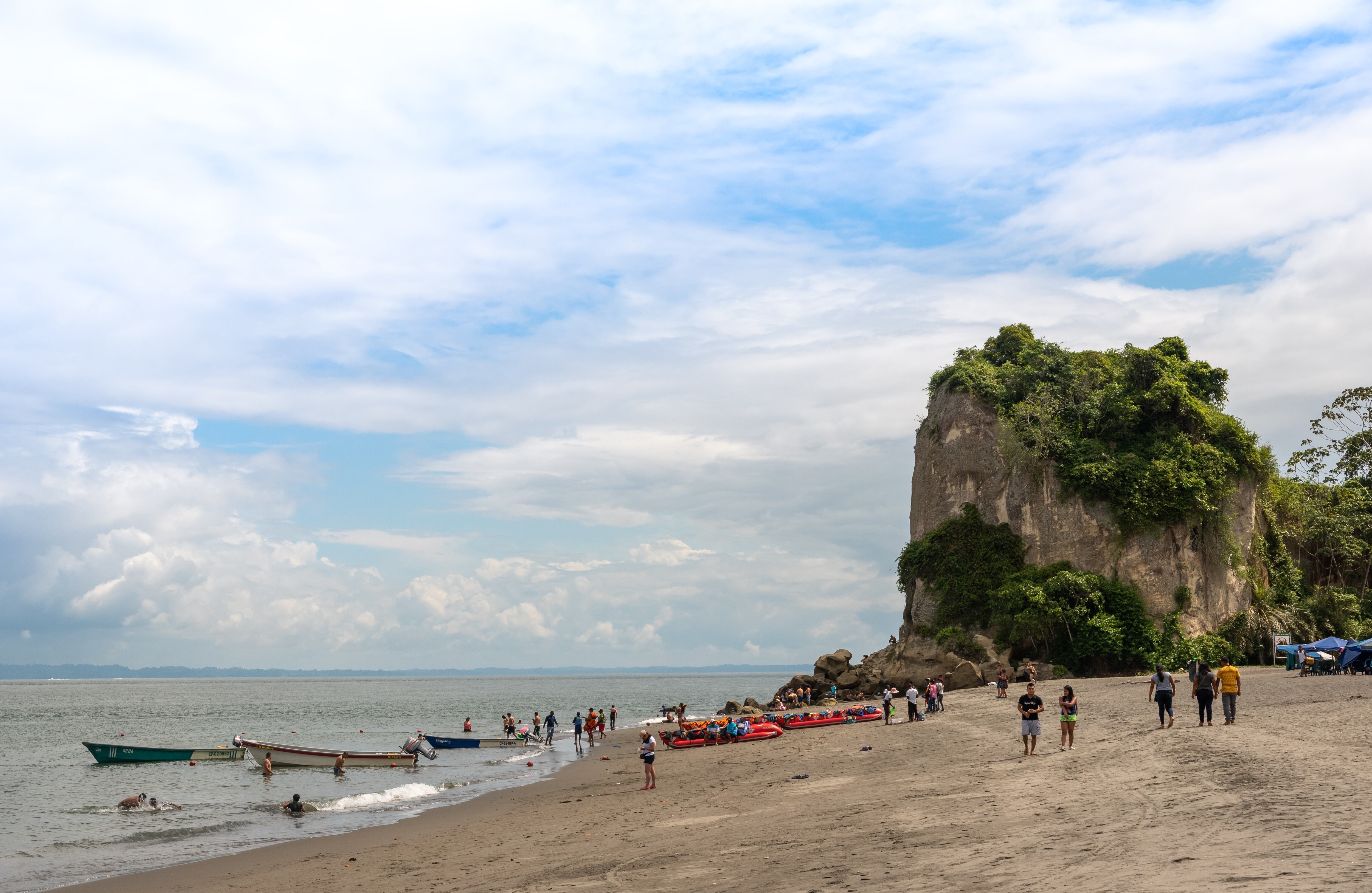Entre julio y octubre las ballenas jorobadas pasan frente a las costas de Tumaco. La perla del Pacífico, como muchos se refieren a este municipio, es también un escenario ideal para el avistamiento de aves. Una actividad que comienza a tomar fuerza y a atraer el turismo.