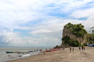 Entre julio y octubre las ballenas jorobadas pasan frente a las costas de Tumaco. La perla del Pacífico, como muchos se refieren a este municipio, es también un escenario ideal para el avistamiento de aves. Una actividad que comienza a tomar fuerza y a atraer el turismo.