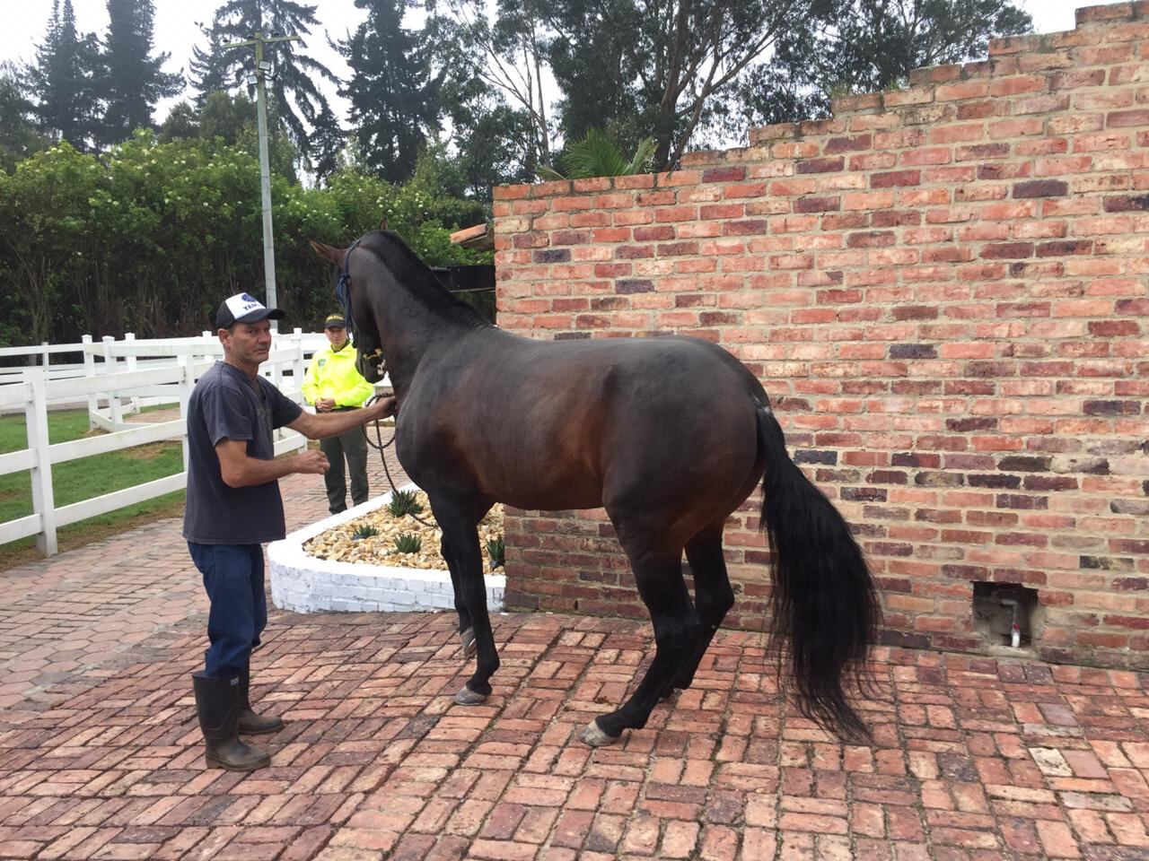 Carlos Felipe Toro, Alías Pipe Montoya