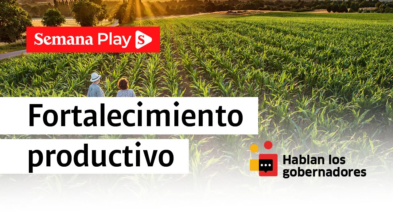 Fortalecimiento productivo - Hablan los gobernadores