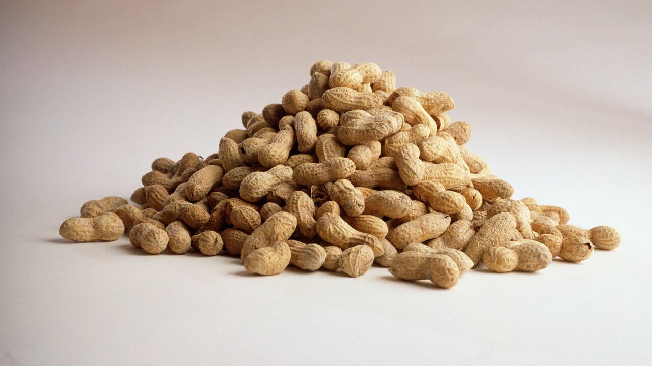El cacahuate es saludable para el cuerpo humano.