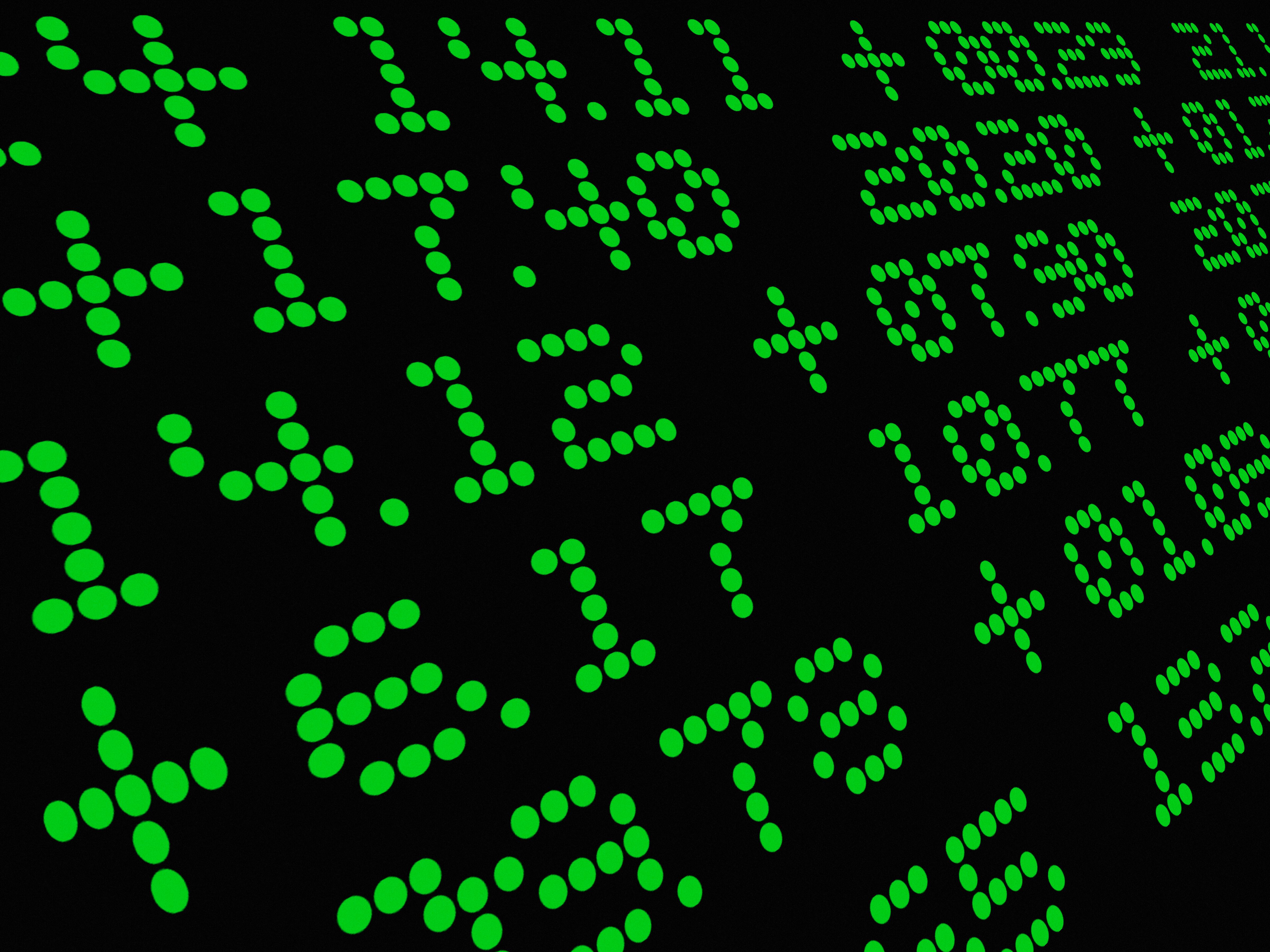 Datos financieros, cifras, números, valores