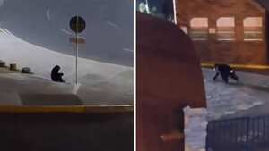 El video revela los momentos antes de la muerte de uno de los chimpancés.