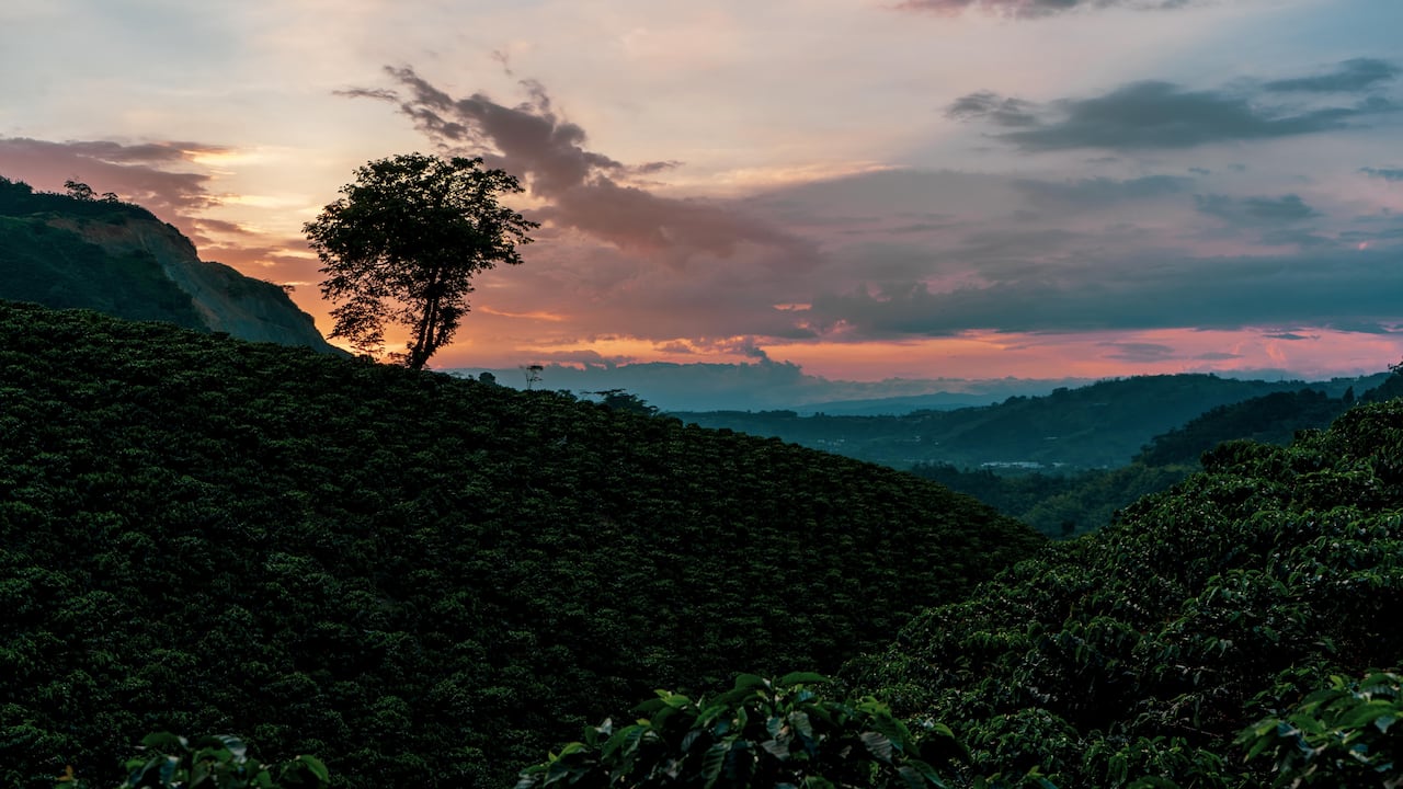 El decreto busca agilizar los procesos de extinción de dominio, y según el Ministerio de Agricultura, le da la oportunidad al propietario de vender su tierra, a pesar que se inicie dicha sustracción.