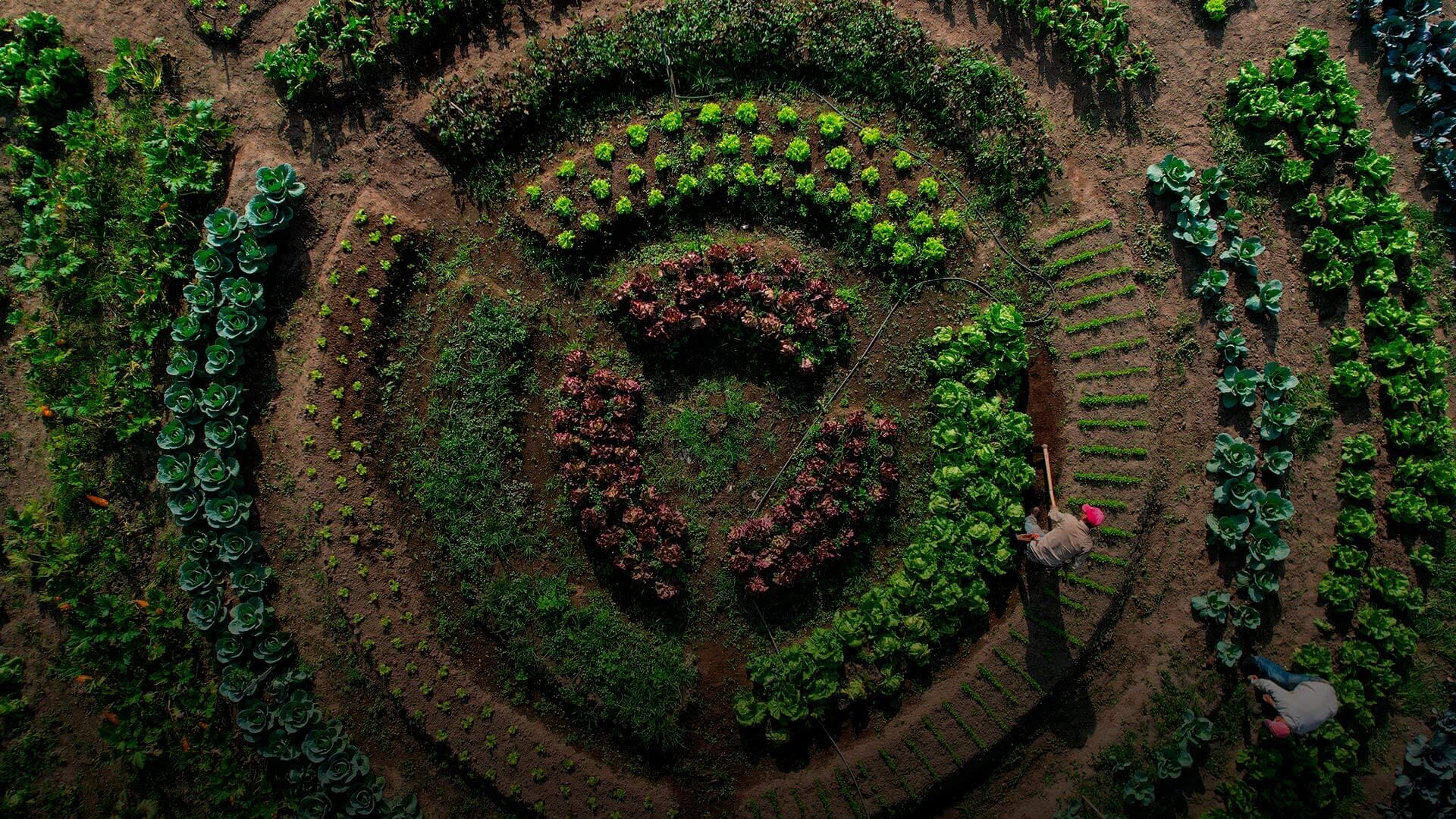 La vocación cafetera de la región generó un mejor nivel de vida en la región, que ha impactado a todos los sectores productivos de la región.