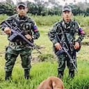 En esta zona del país opera la columna Dagoberto Ramos, así como el frente Carlos Patiño, ambos disidentes de las Farc. Desde hace un par de meses intensificaron su presencia violenta en el territorio para amedrentar a los ciudadanos.