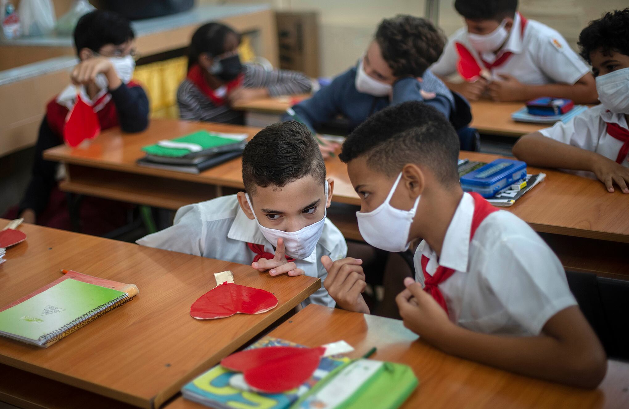 Fotos de la semana 12 nov