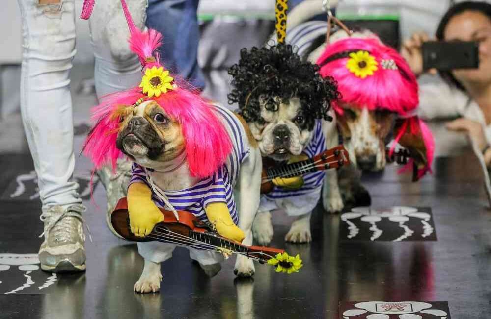 Foto: Carlos Julio Martínez / SEMANA