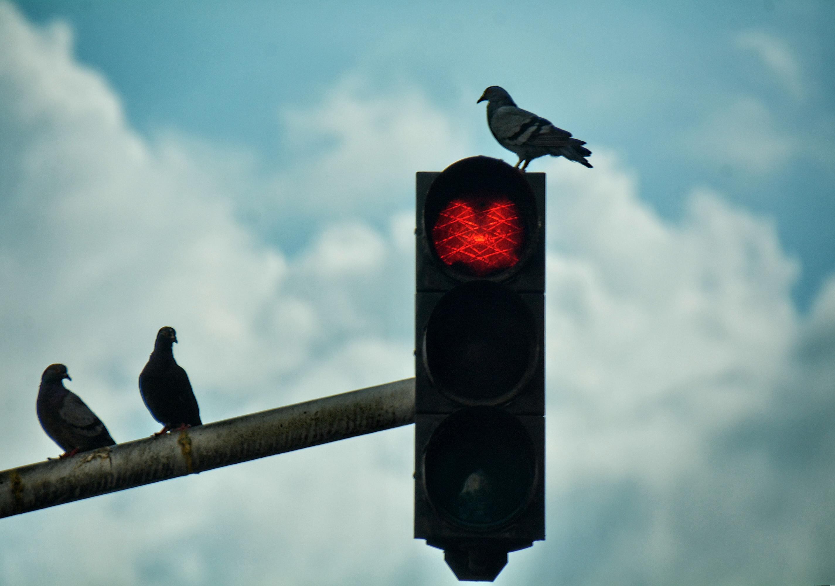 Panorama de clima en Cali. (Foto: Raúl Palacios)
