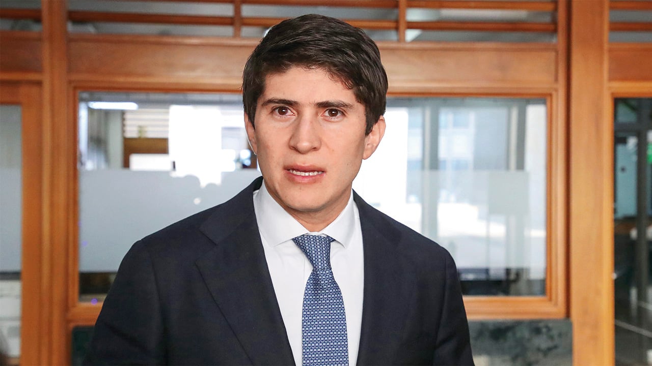 Wadith ManzurRepresentante a la Cámara