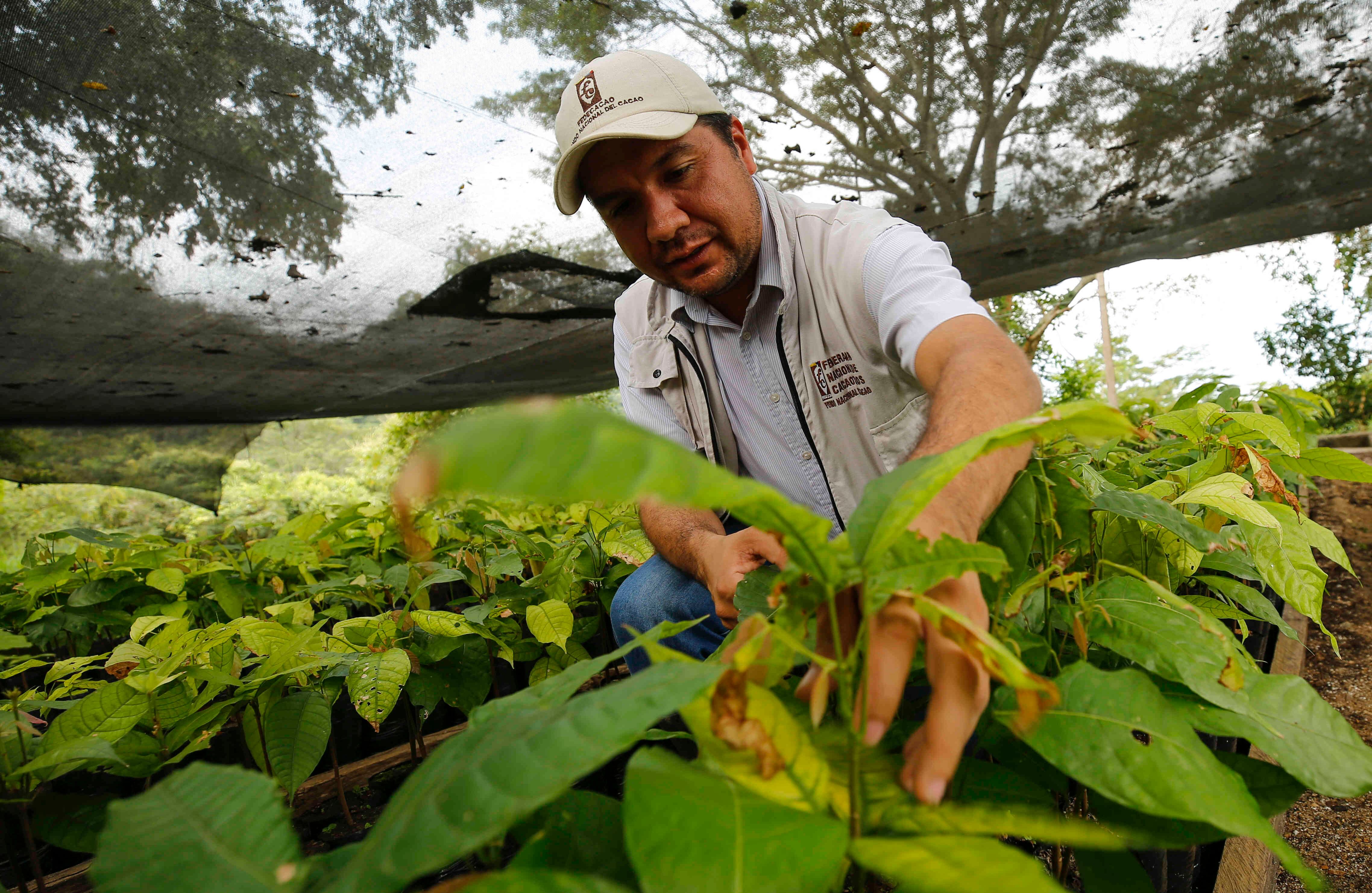 5,8 millones son campesinos. De ellos, 695.000 personas dedicadas a las labores agropecuarias viven en cabeceras, según la Gran Encuesta Integrada de Hogares  y otros 5,1 millones en las zonas rurales dispersas, de acuerdo con el Tercer Censo Nacional Agropecuario del Dane, de 2014. 