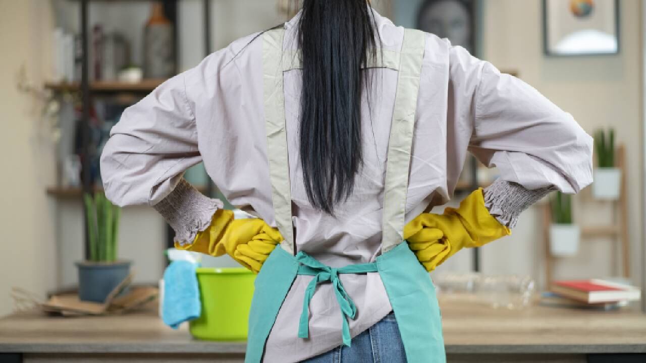 Imagen referencia de una ama de casa.