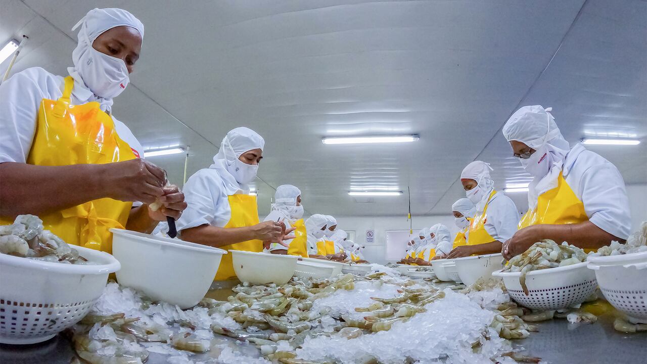 Las manos colombianas que manejan la materia prima de Antillana sustentan el propósito de generar un valor agregado en cada uno de nuestros productos.