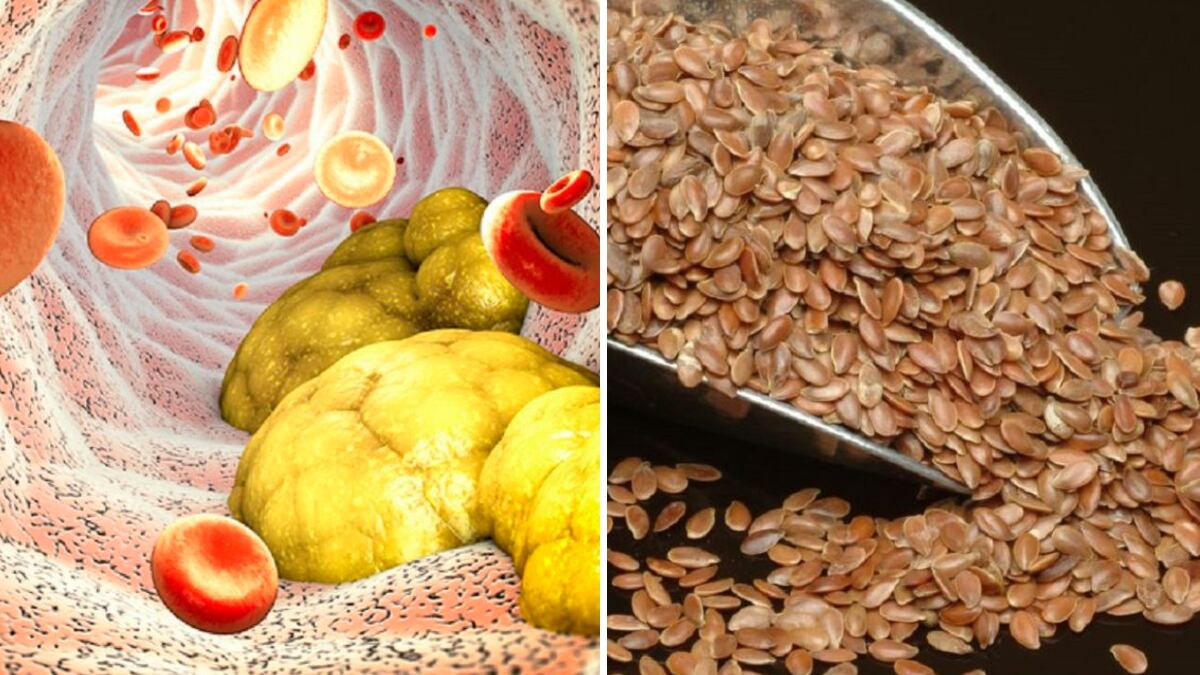 La linaza es una semilla rica en omega-3