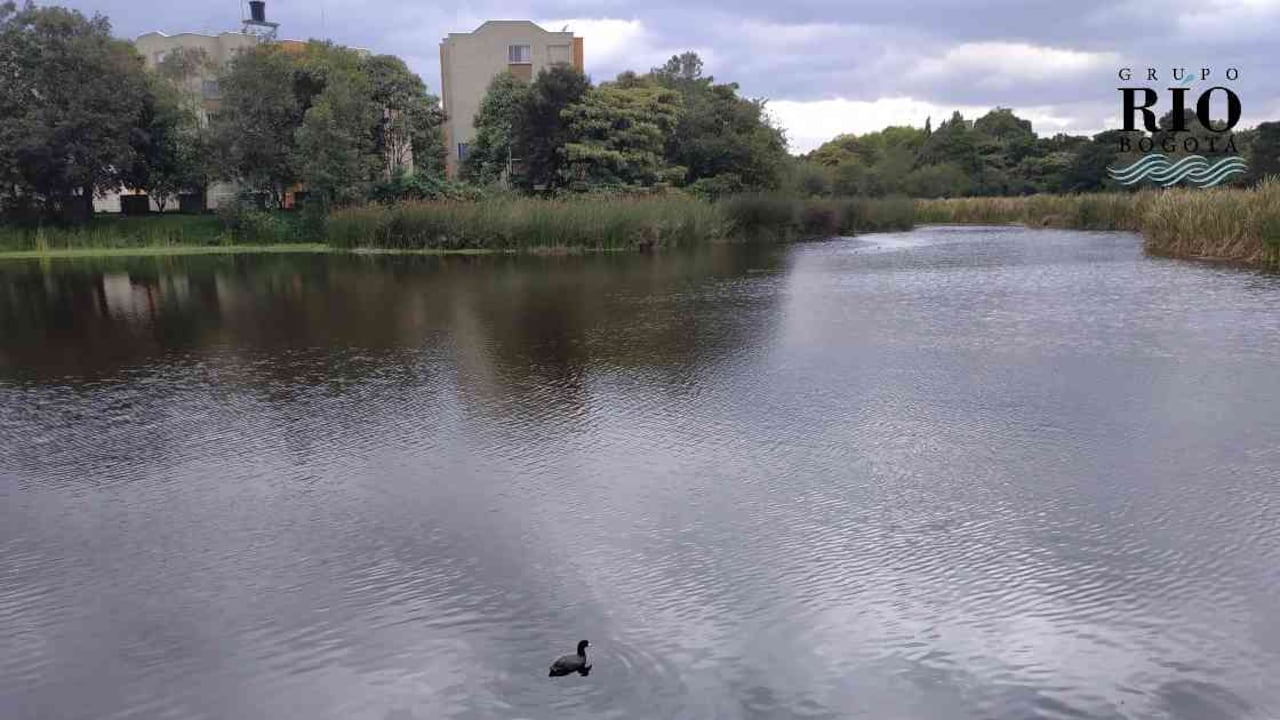 El humedal Santa María del Lago volverá a recibir visitantes. Foto: Jhon Barros.
