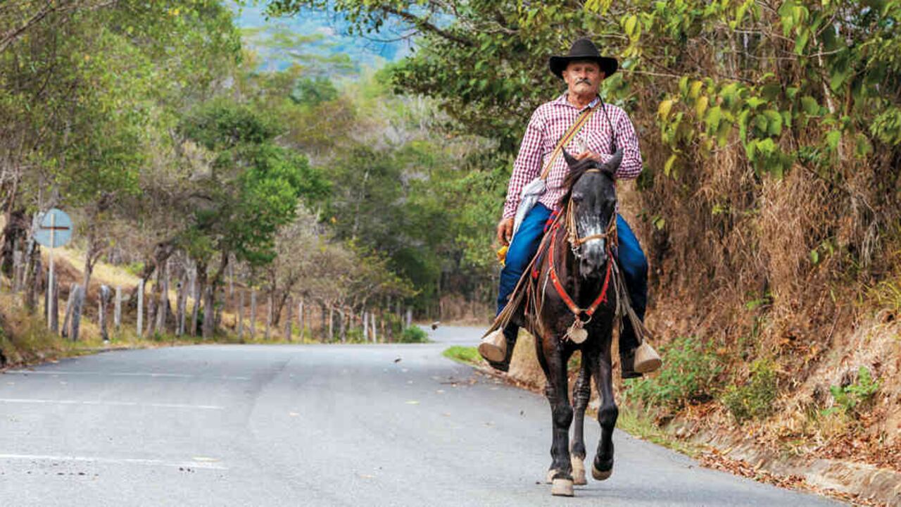 En la primera etapa del proyecto se espera generar más de 20.000 empleos para la población rural.