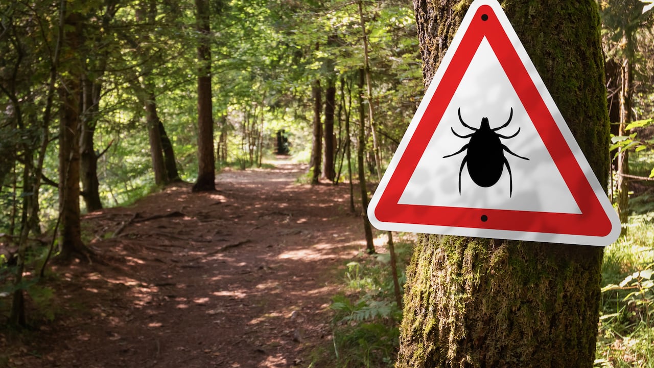 El virus Powassan puede causar encefalitis en pocos días y ya ha sido detectado en varios pacientes del noreste del país