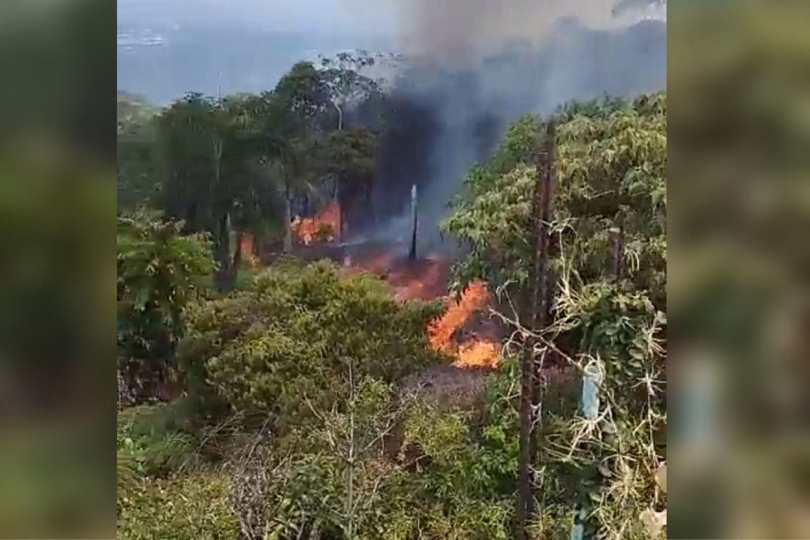 Incendio forestal en el kilómetro siete del corregimiento de La Buitrera, sur de Cali.