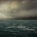 Taravicota, es un virus que ha sido encontrado principalmente en aguas del Océano Ártico