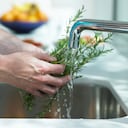 El romero es una de las plantas a las que se le atribuyen beneficios para el cabello.