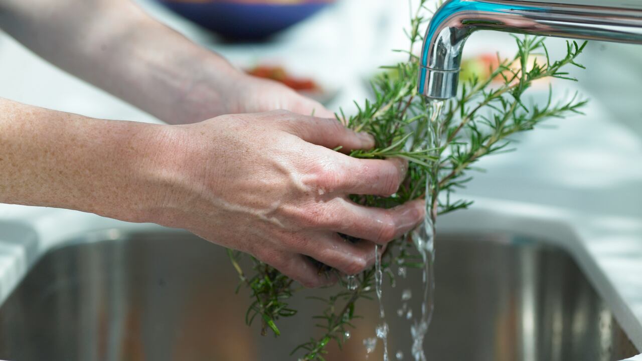 El romero es una de las plantas a las que se le atribuyen beneficios para el cabello.