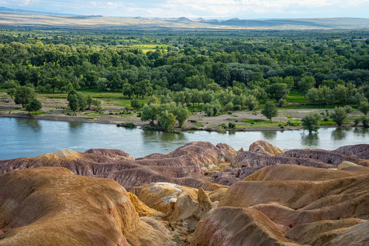 El descubrimiento proporciona la primera evidencia fósil concluyente de una comunidad vegetal terrestre.