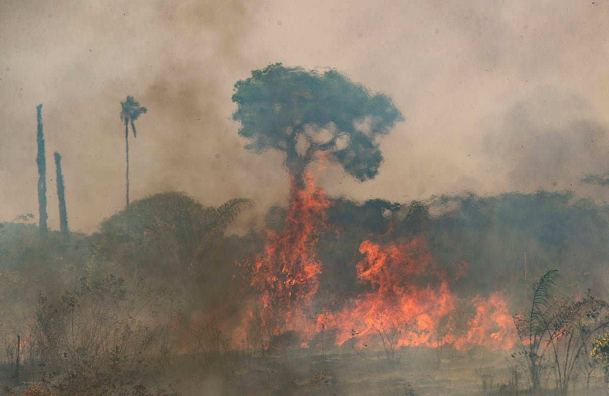 Las llamas recorren el suelo de un campo cerca de Novo Progresso, estado de Pará, Brasil, el sábado 15 de agosto de 2020. Según un agricultor local, los ganaderos iniciaron el incendio para despejar la tierra para el cultivo de soja. Foto: Andre Penner / AP 