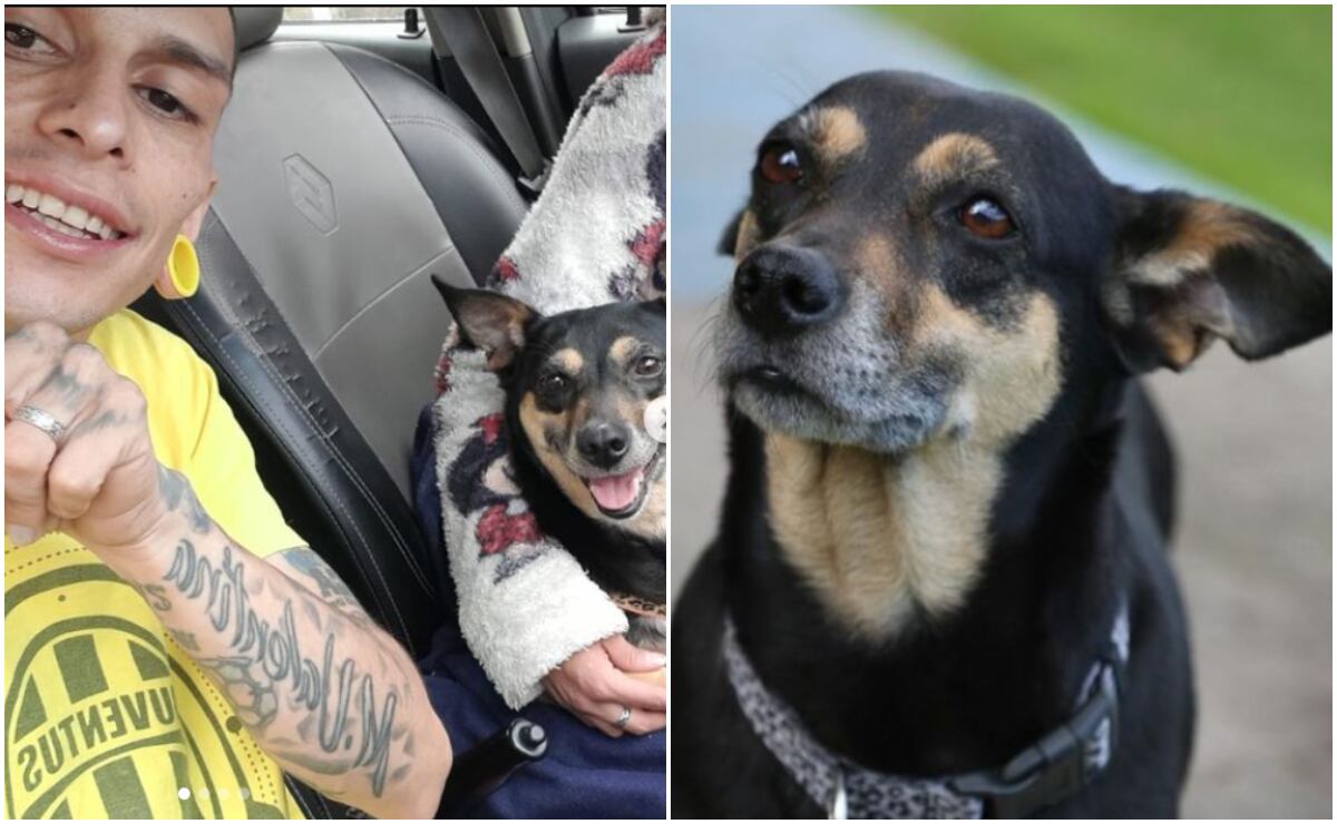 Katy, la mascota de Javier Acosta, está en proceso de adopción ahora que el joven se someterá a la eutanasia.