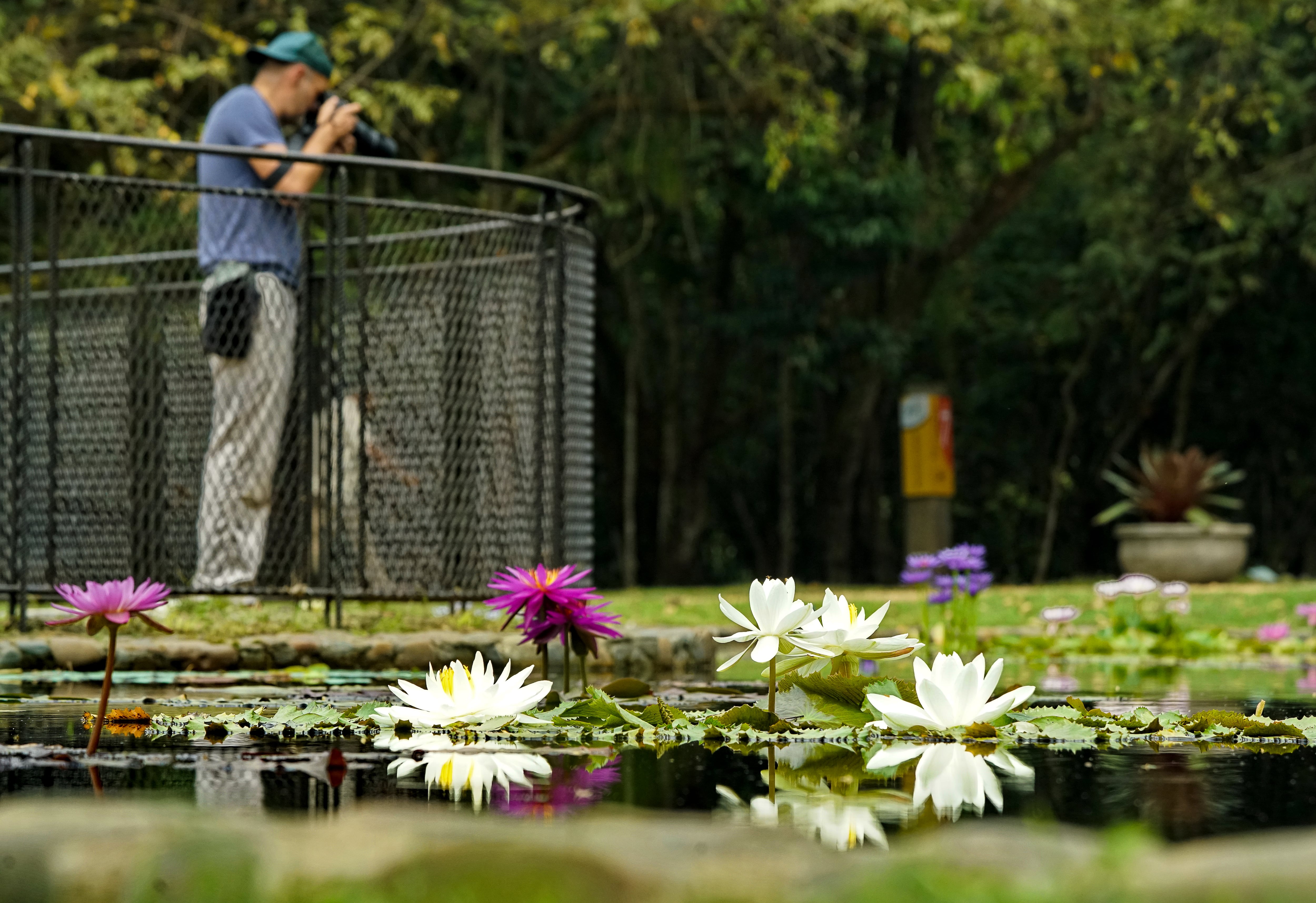 El Jardín Botánico de Cali fundado en  2001 promueve la conservación, investigación y educación ambiental de la flora del Valle del Cauca.
