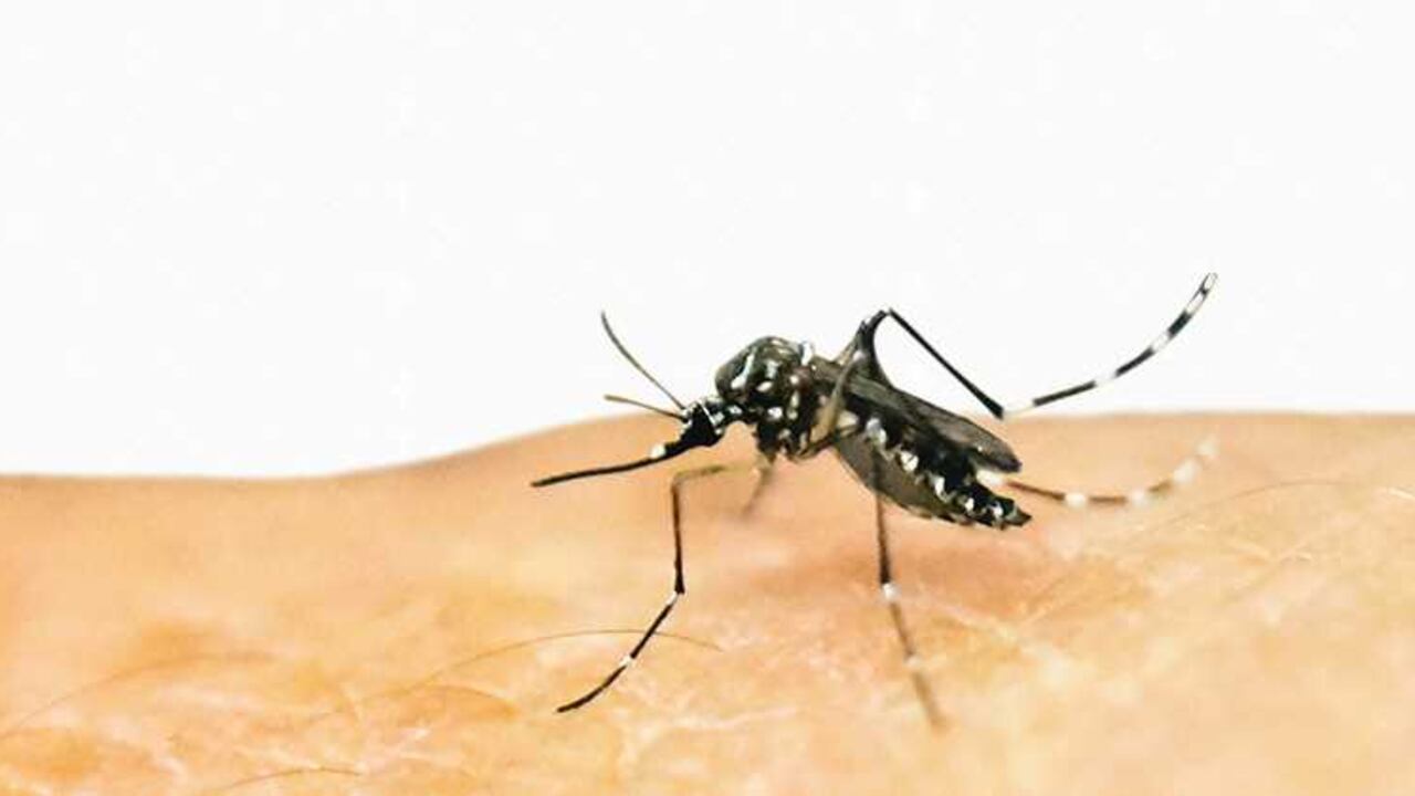 El impacto más fuerte se ha sentido hasta el momento en Brasil, pero se ha extendido a la mayoría de países latinos y del Caribe.