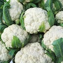 Esta verdura es rica en antioxidantes llamados fitoquímicos que combaten los radicales libres.