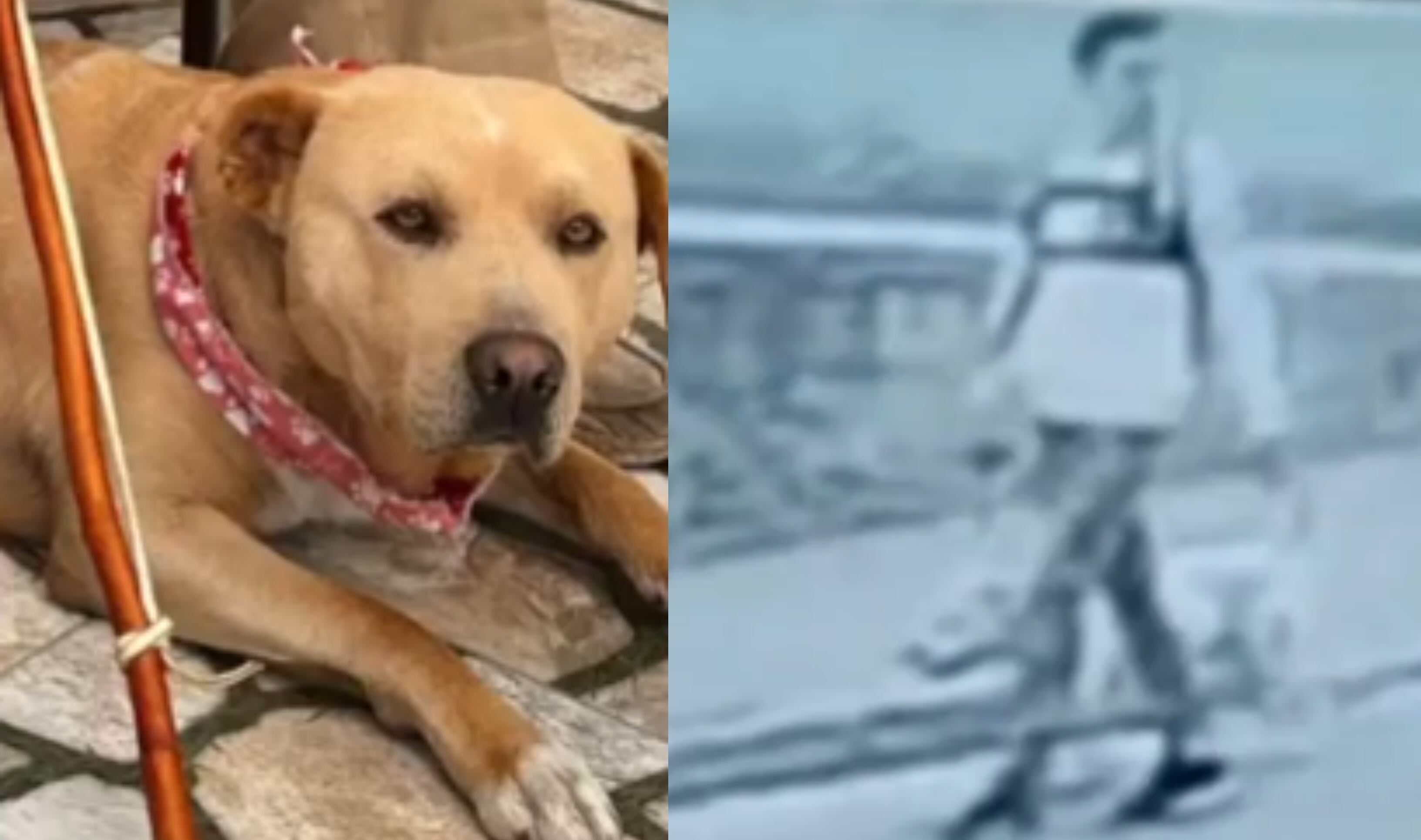 El sujeto de chaqueta blanca fue quien atacó a Chumilas.