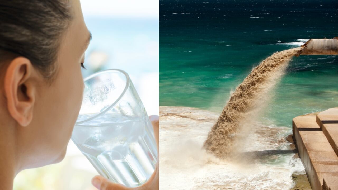 Imagen de referencia, no corresponde al caso en mención.