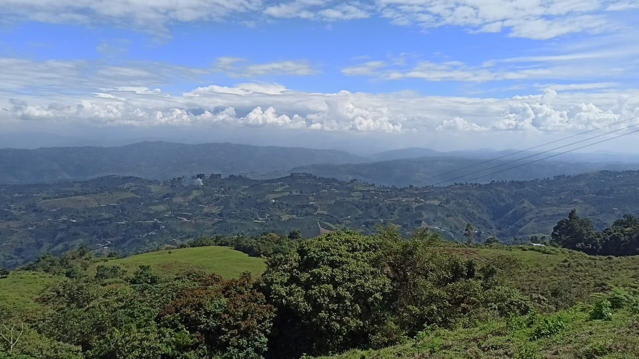Menores indígenas del Huila conforman grupo de conservación ambiental