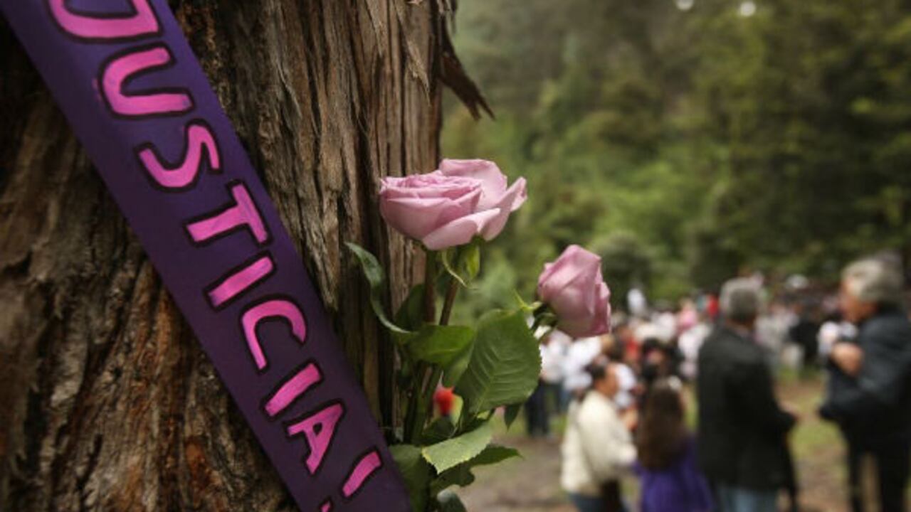 Desde el 6 de julio de 2015, en Colombia se conmemora la promulgación de la Ley 1761, “por la cual se crea el tipo penal de feminicidio como delito autónomo y se dictan otras disposiciones”.