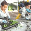 El Departamento Administrativo Nacional de Estadística (Dane) informó que unas 27 mil mujeres migrantes ingresaron al desempleo, a cierre del mes de diciembre de 2020.
