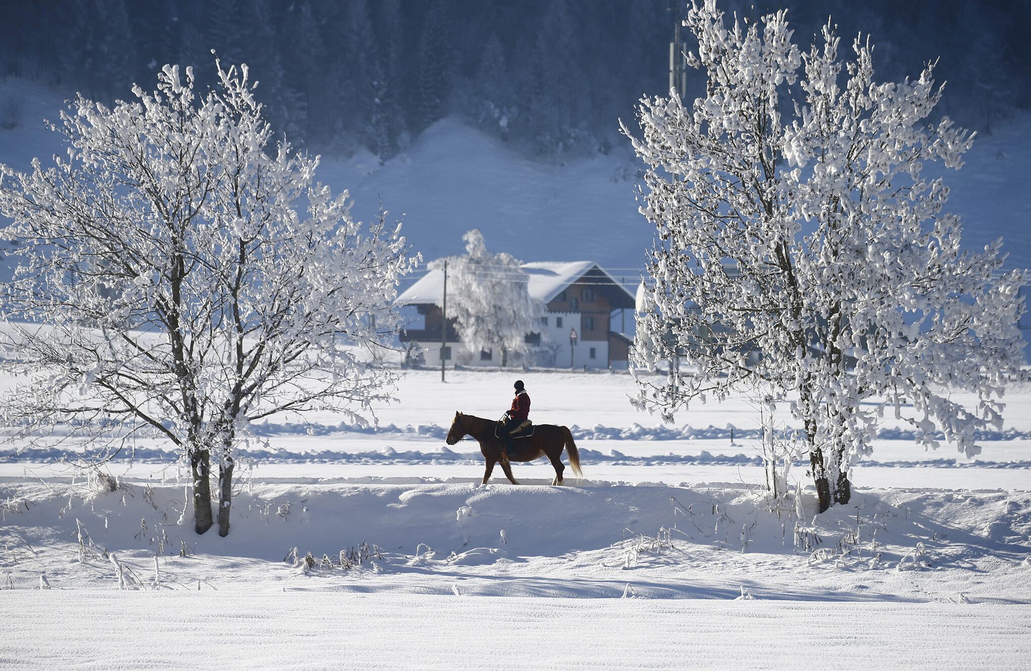 Las postales que nos deja el invierno en el mundo.