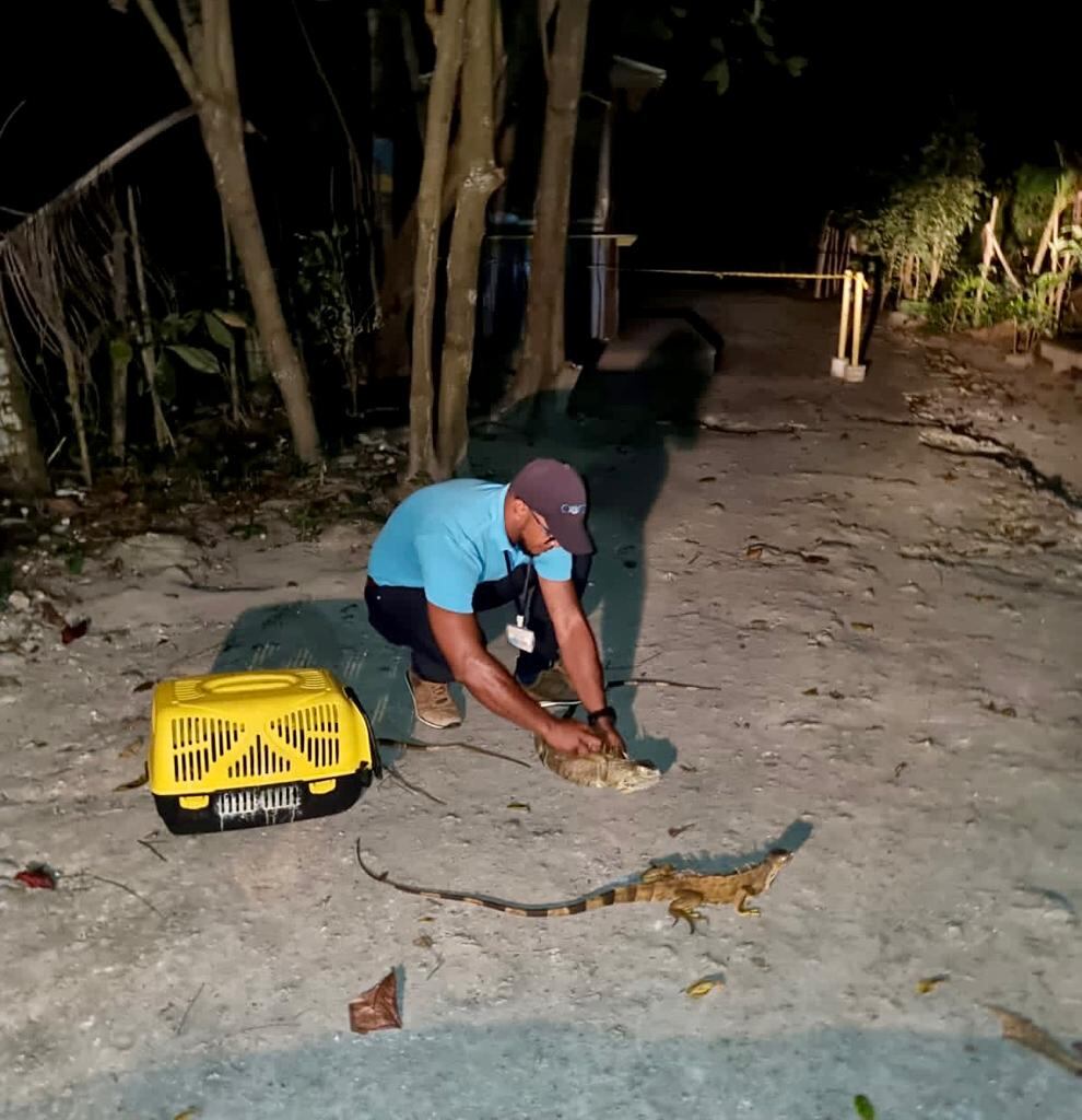 Quien incumpla la normatividad se expone a una “multa de hasta 35.000 salarios mínimos legales mensuales vigentes y privación de la libertad de 48 a 108 meses”.