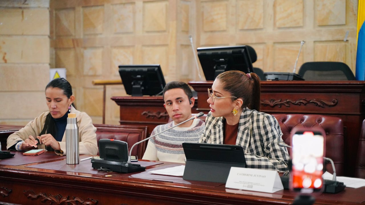 Comisión Anticorrupción y de Integridad Pública con mesa técnica: Propuestas para fortalecer las instancias y mecanismos de lucha contra la corrupción previstos en la reforma a la salud.
