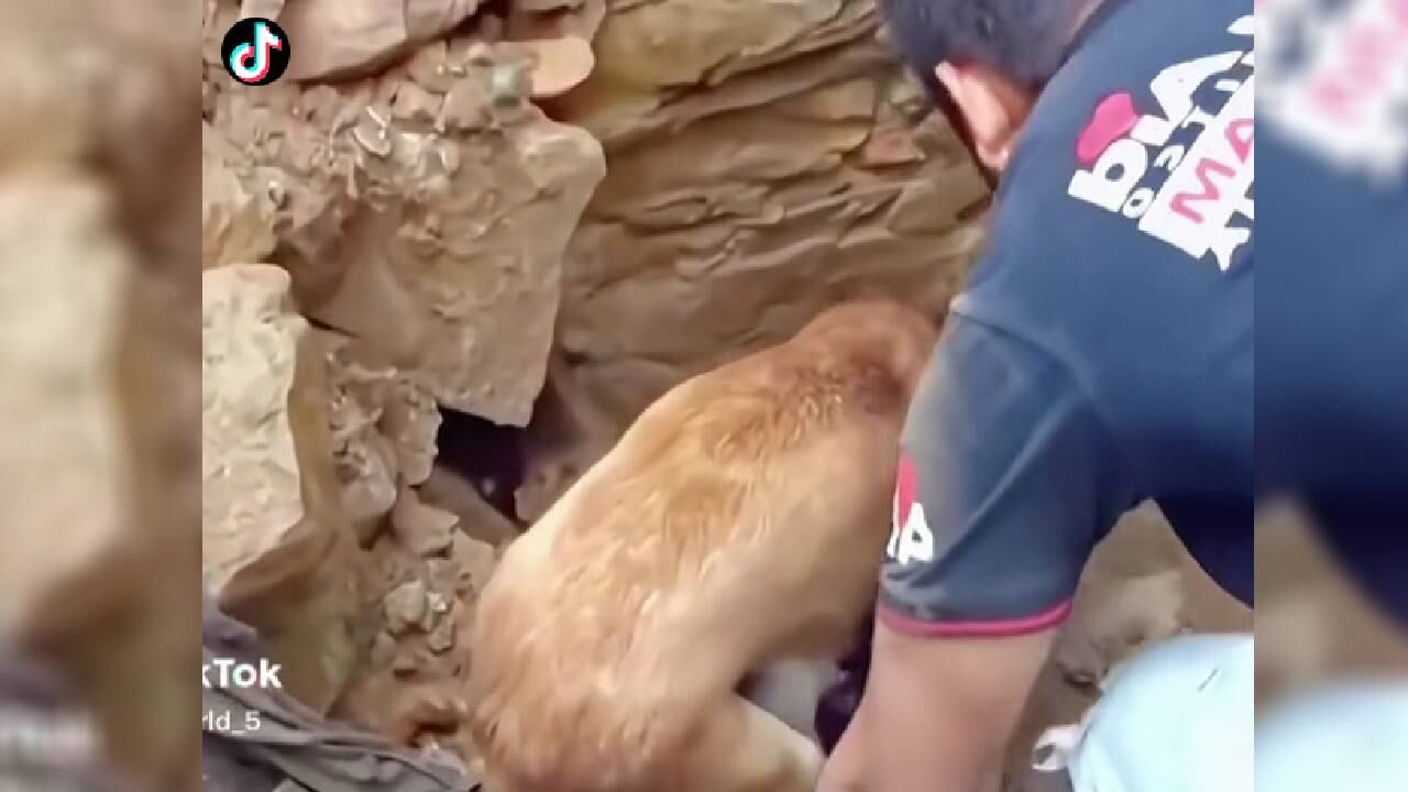 Este viernes 10 de febrero se cumplen cuatro días de la tragedia en Turquía y Siria.