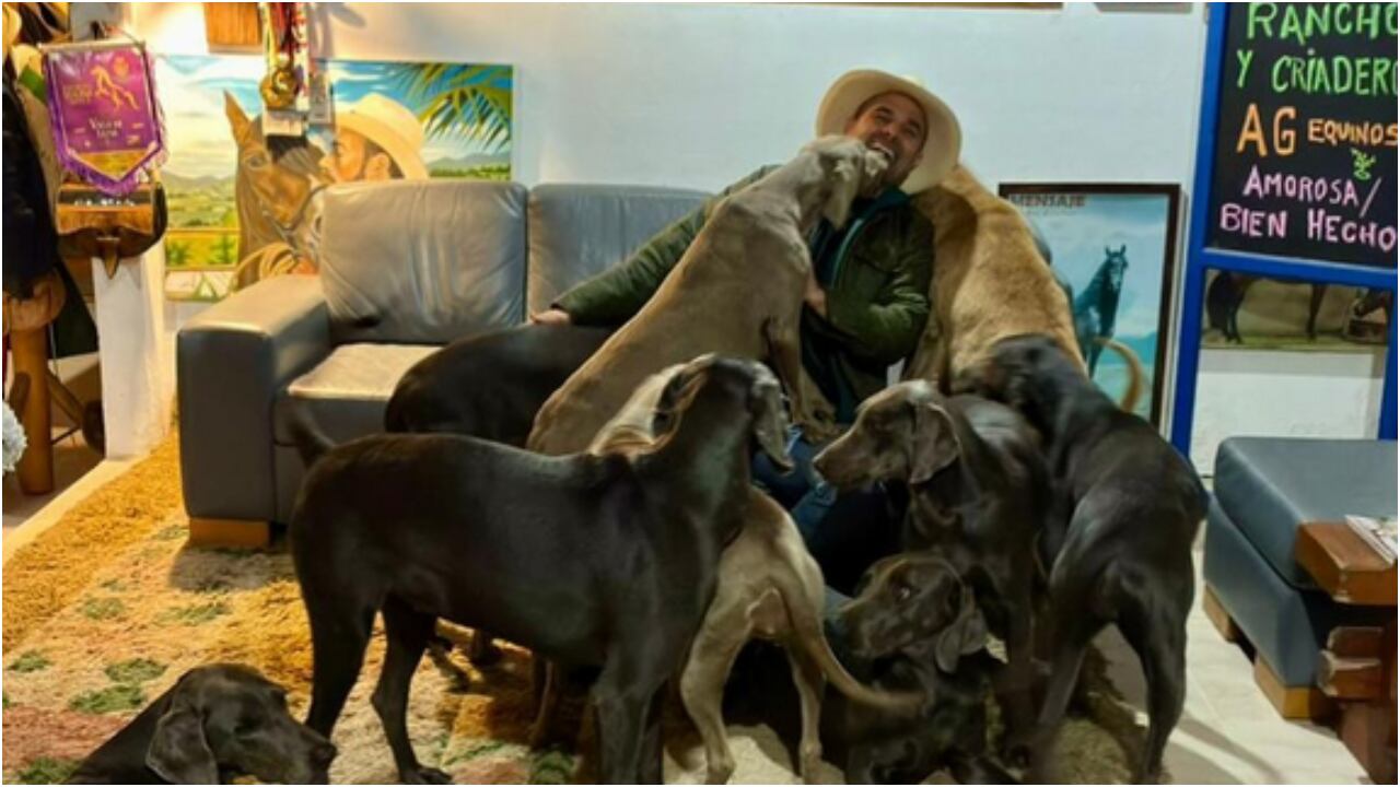 Andrés Guerra, senador y precandidato presidencial colombiano, en compañía de alguno de sus perros, en Antioquia