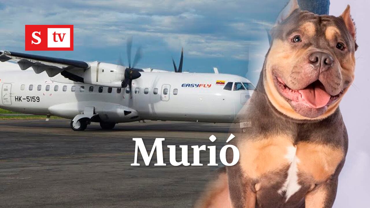 MUERTE DE HOMERO POST -PRODUCCION