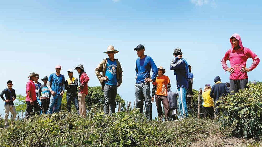 12 personas desmovilizadas han encontrado empleo gracias a una alianza estratégica con la Agencia Colombiana para la Reintegración.