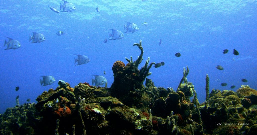 Atractivos turísticos de Colombia