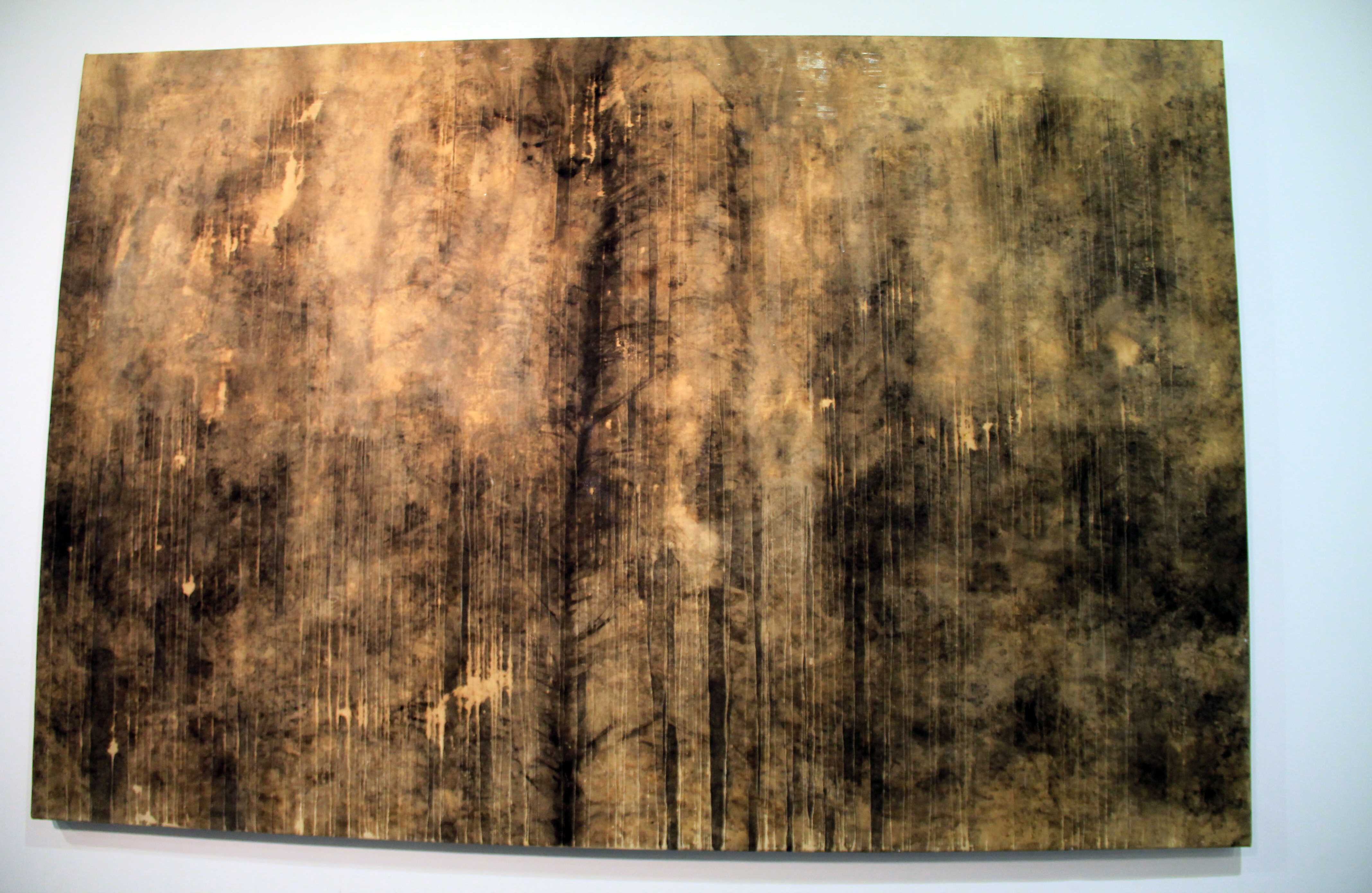 Vestigiun Tectona Grandis. Foto: Álvaro Tavera