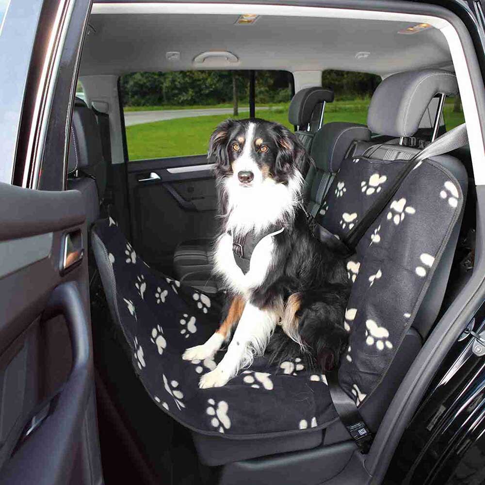 Cómo viajar con su perro en carro: cinco consejos para un trayecto tranquilo