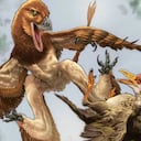 El descubrimiento cambia lo que se sabía sobre un antiguo ecosistema dominado por aves.